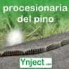 Mactina (abamectina 1.8%), 250ml