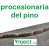 bolsas ynject go mini