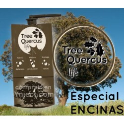 Ynject Tree Quercus life (encinas)