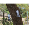 Ynject tree quercus max foresta para encinas y robles