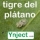 Control del Tigre del Plátano (Corythucha ciliata) con inyección al tronco