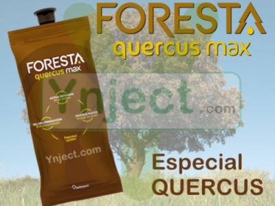 Cómo usar el Tree Quercus Life: Potenciador de Endoterapia Vegetal