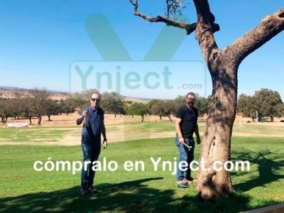 Endoterapia con Ynject: innovación y sostenibilidad en el cuidado de los árboles