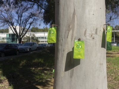 Fertinyect y la tecnología Ynject: inyección al tronco sostenible