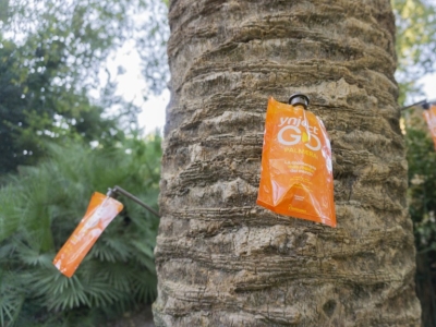 Ynject: soluciones sostenibles para cada tipo de árbol y sector