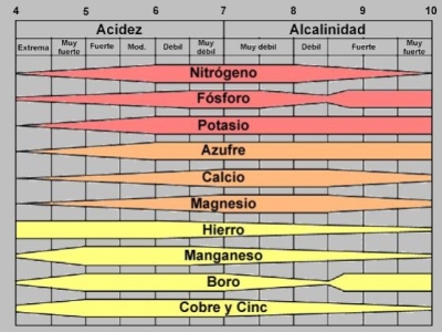 Por qué el Hierro Presenta Problemas en Suelos de pH Alto: Causas y Soluciones
