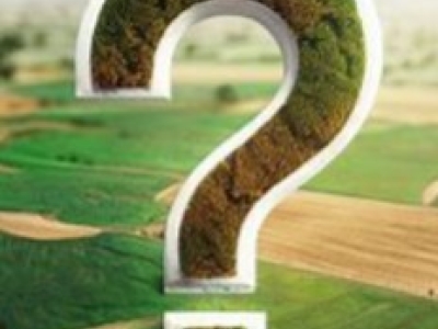 ¿Qué Cantidad de Quelato de Hierro por Litro de Agua?